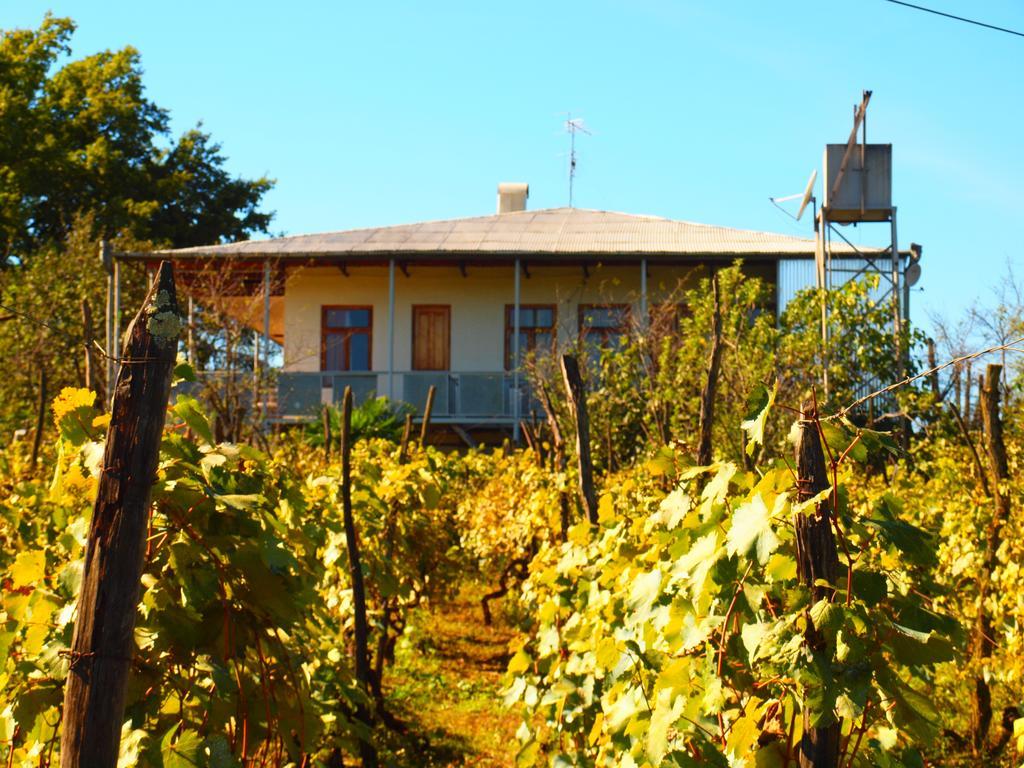 Zestafoni Guesthouse Zedafoni מראה חיצוני תמונה